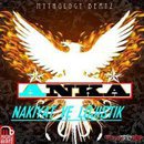 anka nakliyat evden eve nakliyat